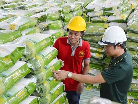 Giá gạo Việt vượt Thái Lan đứng số 1 thế giới