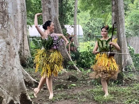 Có một hiệp sĩ ở Vườn quốc gia Cát Tiên