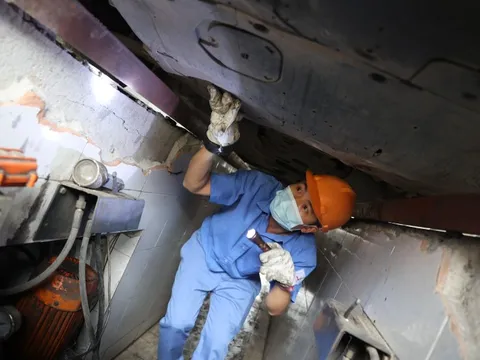 5 triệu lượt tra cứu gia hạn đăng kiểm ô tô trong 2 ngày