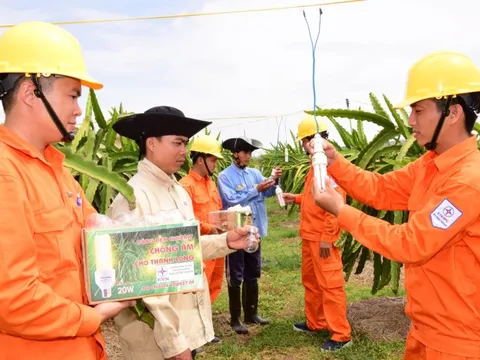 Tiết kiệm tối đa, đảm bảo cung cấp điện ổn định khu vực miền Nam