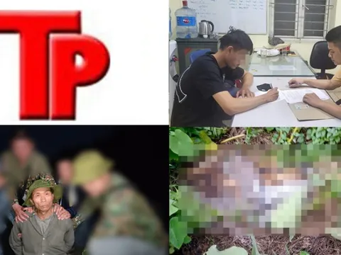 Bản tin Hình sự: Tình tiết mới trong vụ phát hiện thi thể phân huỷ trong vườn trái cây