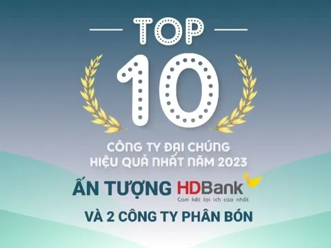 TOP 10 công ty đại chúng hiệu quả nhất năm 2023: Ấn tượng HDBank, Đạm Phú Mỹ và Hóa dầu Đức Giang