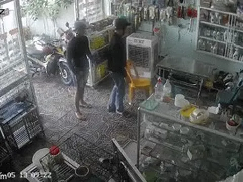 Camera ghi cảnh hai thanh niên đập phá phòng khám thú y ở TPHCM