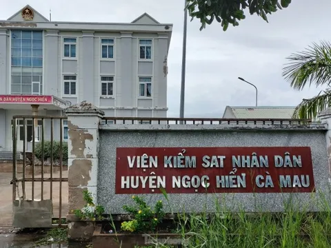 Vụ tố cáo 'vòi tiền chạy tại ngoại' ở Cà Mau: Viện kiểm sát yêu cầu thanh tra vào cuộc
