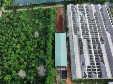 Chuyển cơ quan điều tra vụ sai phạm tại Trung tâm ứng dụng công nghệ sinh học Đồng Nai