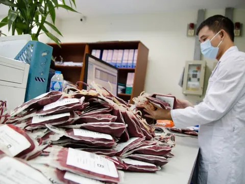 Hỗ trợ 1.000 đơn vị máu tới khu vực Tây Nam Bộ