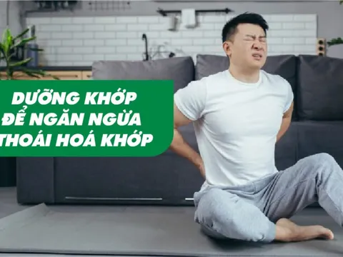 Dưỡng khớp để ngăn ngừa thoái hoá khớp