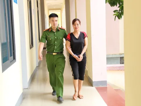 Dẫn khách đi xem rừng keo của người khác để lừa bán, chiếm đoạt tiền