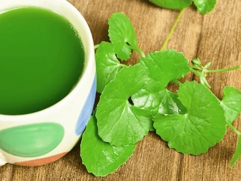 Những sai lầm khi uống nước rau má giải nhiệt, bổ đâu không thấy, chỉ toàn rước bệnh vào người