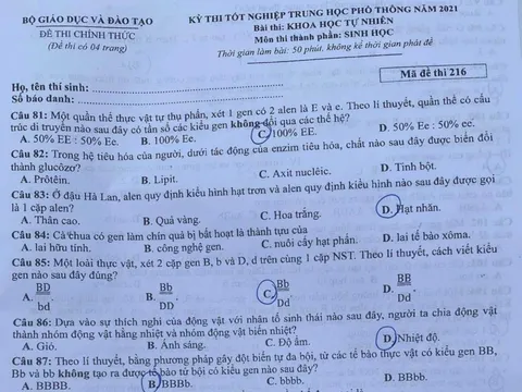 Vụ lộ đề tốt nghiệp THPT: Tổ trưởng, tổ phó ngân hàng câu hỏi 'ôn tủ' cho người thân quen