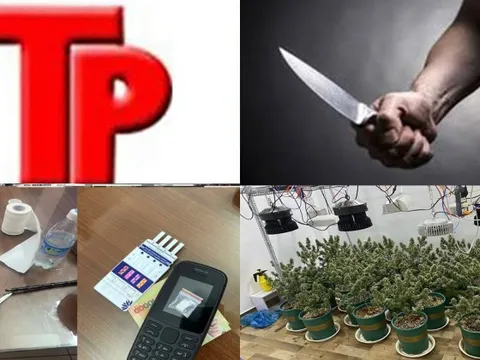 Bản tin Hình sự: Hai chị em thương vong vì cãi vã chuyện ly hôn