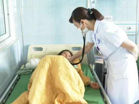 14 người nhập viện nghi ngộ độc nấm ở Lai Châu