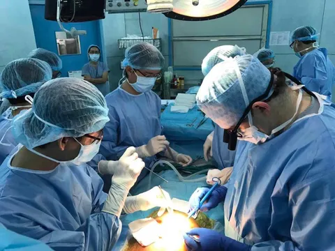 TPHCM: Bác sĩ 2 bệnh viện đang ghép gan của mẹ cứu bé trai 11 tuổi