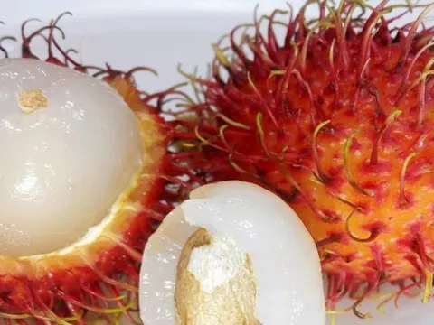 Bé gái 9 tháng tuổi tử vong do hóc hạt chôm chôm