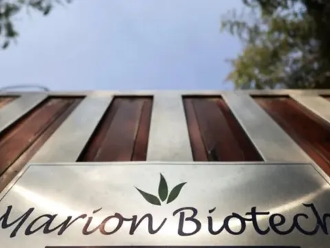 Reuters: Hãng dược Ấn Độ dùng thành phần thuốc trừ sâu làm xi-rô trẻ em