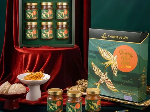 Thượng Vy Yến Biển - món quà cho sức khỏe với hương vị tuyệt hảo từ CiCi Thượng Đỉnh Yến
