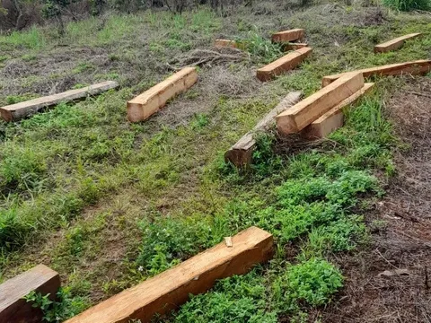 Bị truy đuổi, lâm tặc vứt gỗ thoát thân
