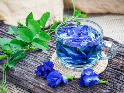 Hoa đậu biếc cực tốt cho sức khoẻ nhưng sẽ thành 'độc dược' nếu uống theo cách này