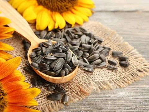 Nhâm nhi vài hạt hướng dương sẽ tốt cho sức khỏe, nhưng ăn quá nhiều lại gây ra tác hại không ngờ