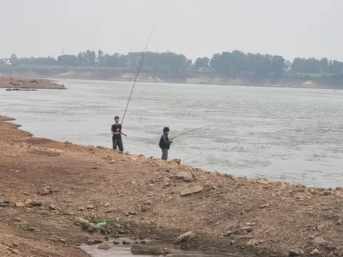 Điều tra vụ nhân viên kiểm lâm bị nhóm người bắt trói, hành hung rồi cướp ca nô