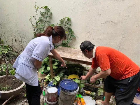 Sau TPHCM, Hà Nội là điểm nóng sốt xuất huyết