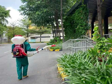 Bình Dương: Cảnh báo có trẻ tử vong do sốt xuất huyết, nhiều gia đình vẫn tự mua thuốc điều trị