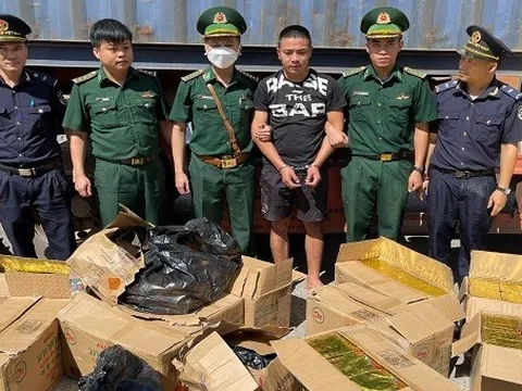 Bắt giữ vụ vận chuyển số lượng lớn pháo và gỗ trắc từ Lào về Việt Nam