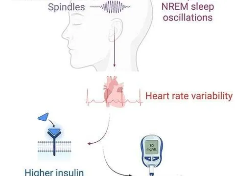 Nghiên cứu mới mở ra triển vọng điều trị bệnh tiểu đường