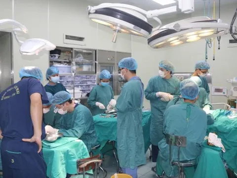 Ghép da cho người bị lột toàn bộ da đầu