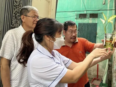 El Nino có thể làm gia tăng lây truyền dịch bệnh