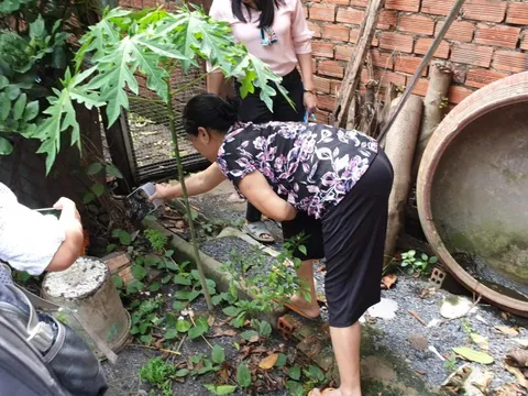 Giao trách nhiệm cụ thể khi triển khai chiến dịch diệt loăng quăng, bọ gây