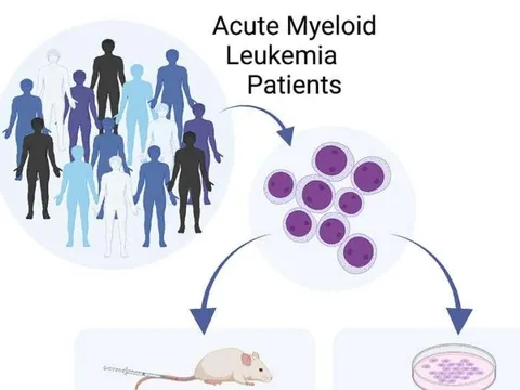 Phương pháp mới phát hiện tế bào gốc ung thư nhanh, hiệu quả
