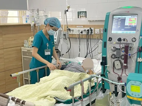 3 bệnh nhân tử vong do ăn phải nấm độc