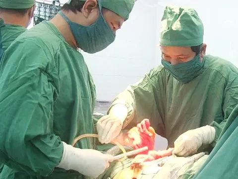 Thợ săn bị thương nặng do súng tự chế cướp cò