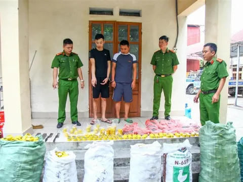 Giả thuê đất trồng rau để sản xuất đạn dược