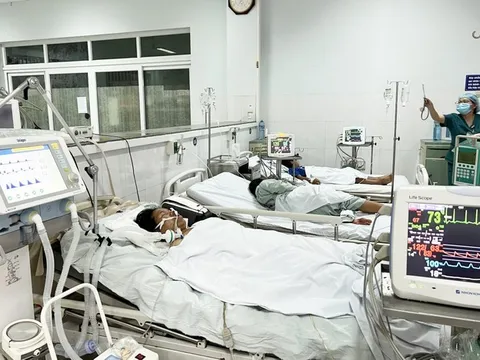 Thêm 3 người ngộ độc cấp cứu sau khi ăn cá muối ủ chua ở Quảng Nam