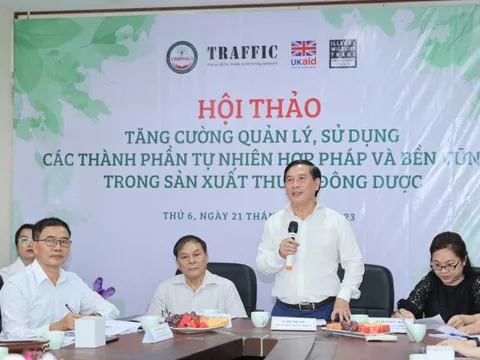 Thúc đẩy sử dụng dược liệu hợp pháp, an toàn trong sản xuất thuốc đông dược