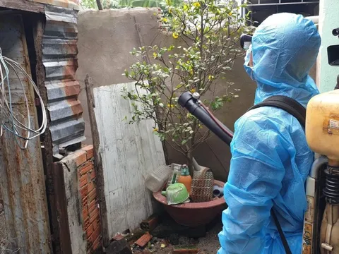 Sốt xuất huyết gia tăng: Người nhiều bệnh lý và sản phụ cần thận trọng