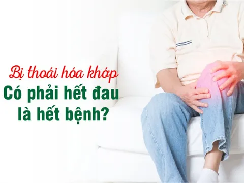 Bị thoái hóa khớp - Có phải hết đau là hết bệnh?