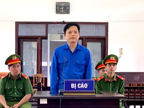 Giám đốc lừa gọi vốn đầu tư dự án điện mặt trời, lĩnh án 15 năm tù