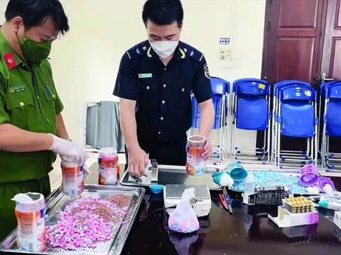 Hà Nội: Đề nghị xét xử các vụ án điểm vận chuyển trái phép ma tuý, hàng cấm qua đường hàng không