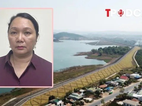 HÌNH SỰ: Vì sao nữ vụ trưởng thuộc Văn phòng Chính phủ bị khởi tố?