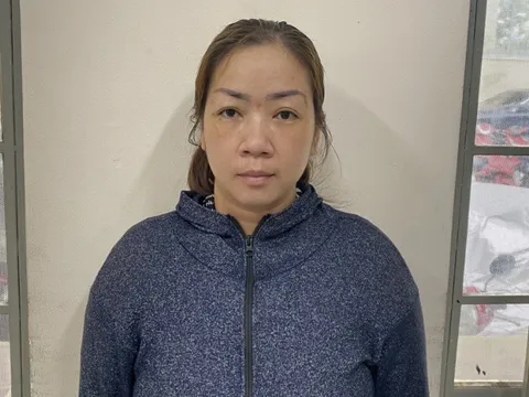 Phá đường dây mua bán trẻ sơ sinh ở TPHCM