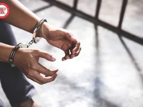 Việt – Mỹ phối hợp bắt hai đối tượng đặc biệt nguy hiểm