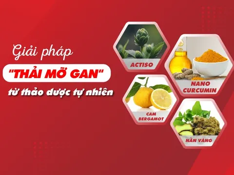 Giải pháp 'thải mỡ gan' từ thảo dược tự nhiên