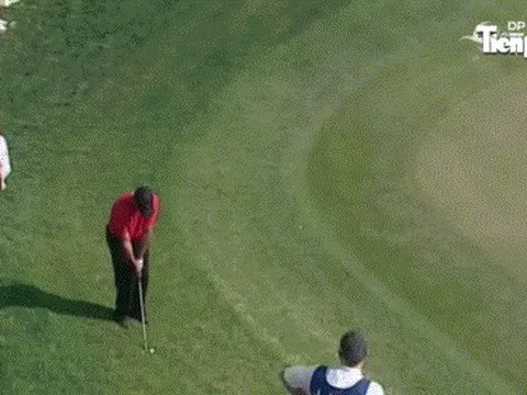 Những cú đánh không thể tin nổi của huyền thoại Tiger Woods
