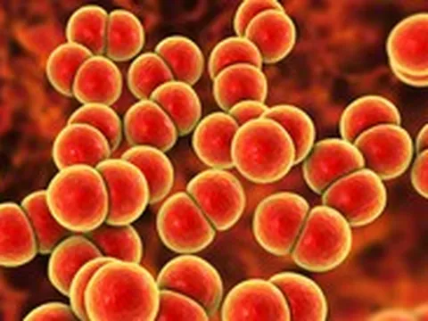 Anh triển khai vắc xin ngừa lậu đầu tiên trên thế giới