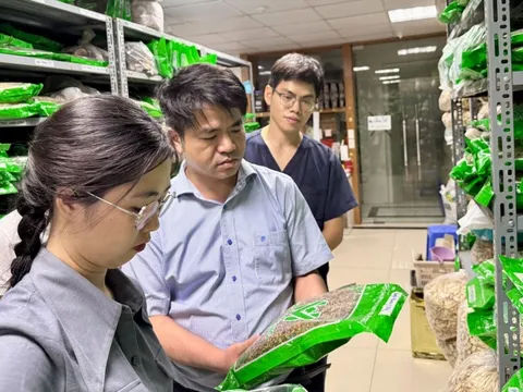 Bộ Y tế thành lập 15 tổ kiểm tra thuốc, mĩ phẩm, thực phẩm chức năng