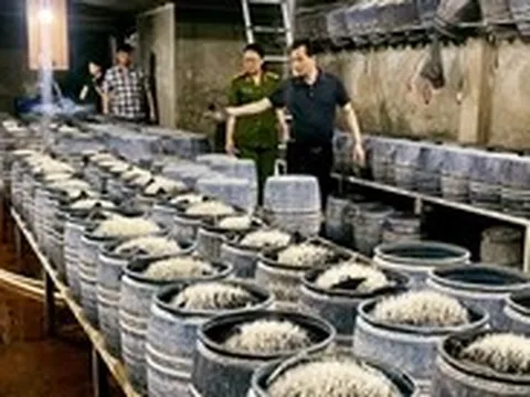 Cận cảnh xưởng làm giá đỗ được ủ hóa chất có hại cho sức khỏe