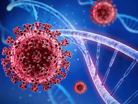 Biến thể mới của COVID-19 không có nguy cơ gia tăng đối với sức khoẻ cộng đồng